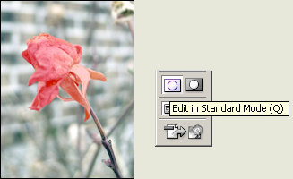 masking images in photoshop, quick mask tool, mask, mask editing, photoshop mask,quick mask mode