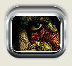 Image Fx