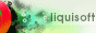 Ryan Ford , Liquisoft