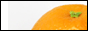 WireStyle.com
